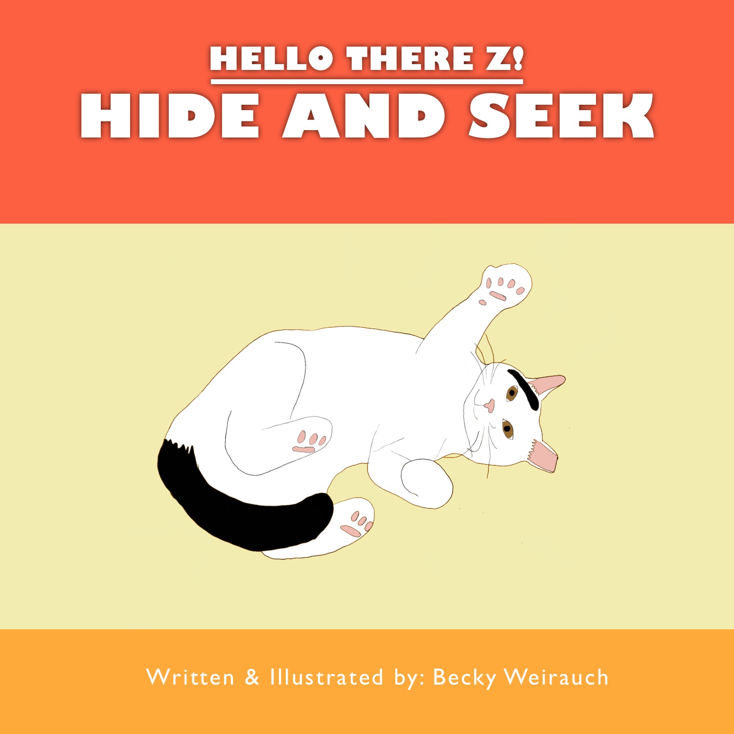 Hide and Seek Book Cover